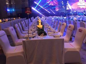 地素年会