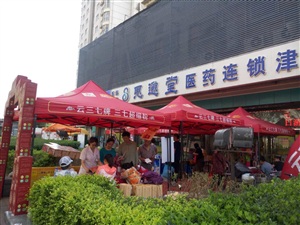 云三七天津思邈堂站