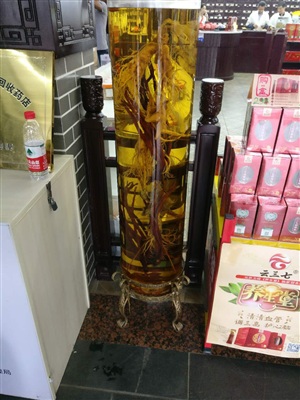 云三七安庆站