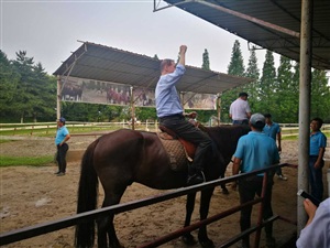 自由活动
