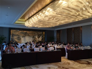南宁万达文华酒店学术会议搭建