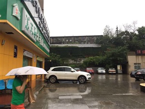 云三七8月20日的路演活动现场